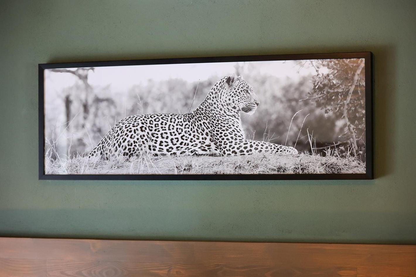 Tomo Safari Lodge Hoedspruit Quarto foto